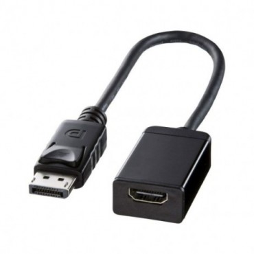 DP to HDMI adapter 0.2m